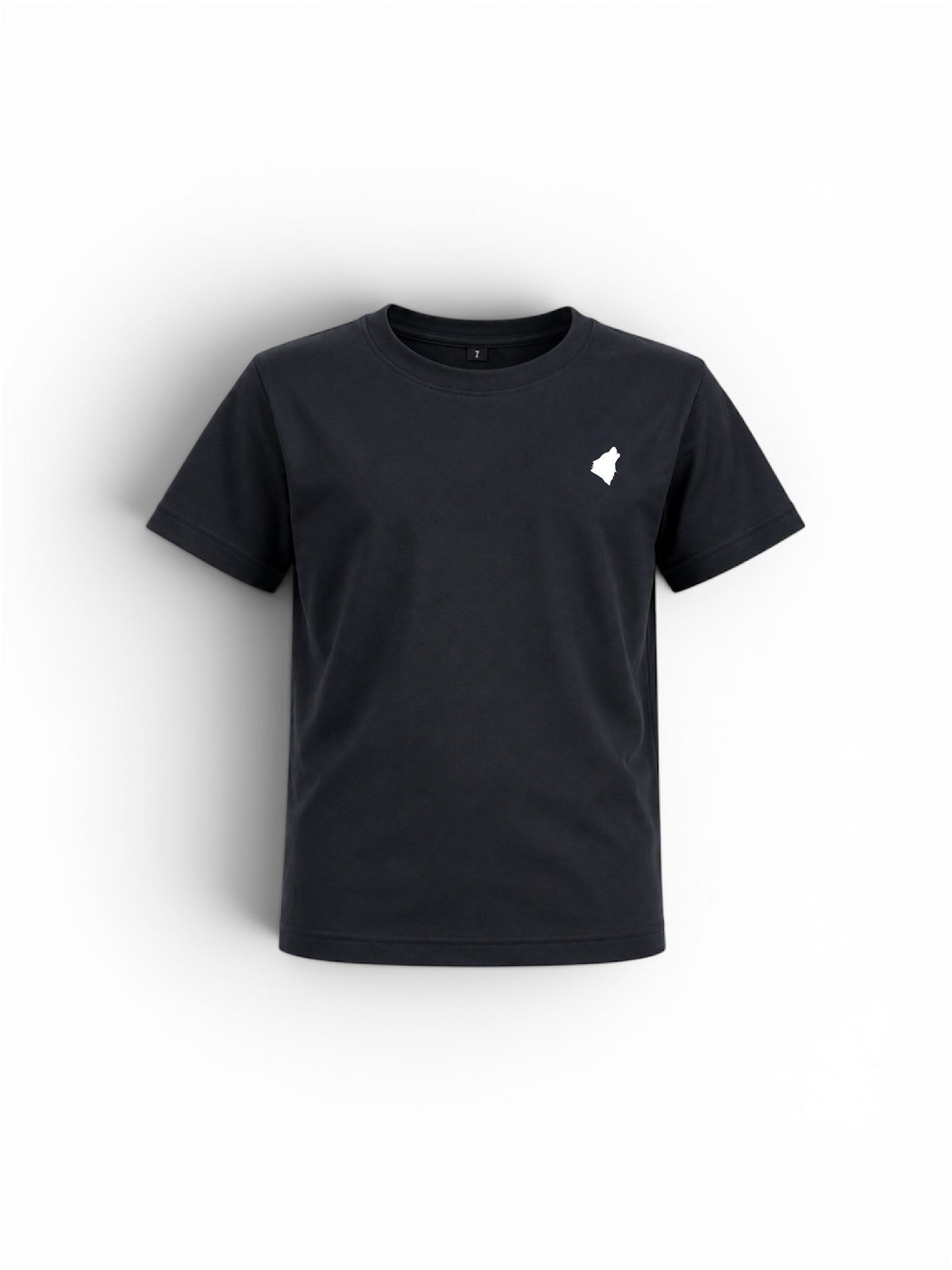 ‼️ Précommande ‼️